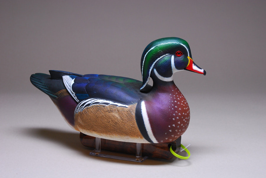 Wood duck by Bud Shell!